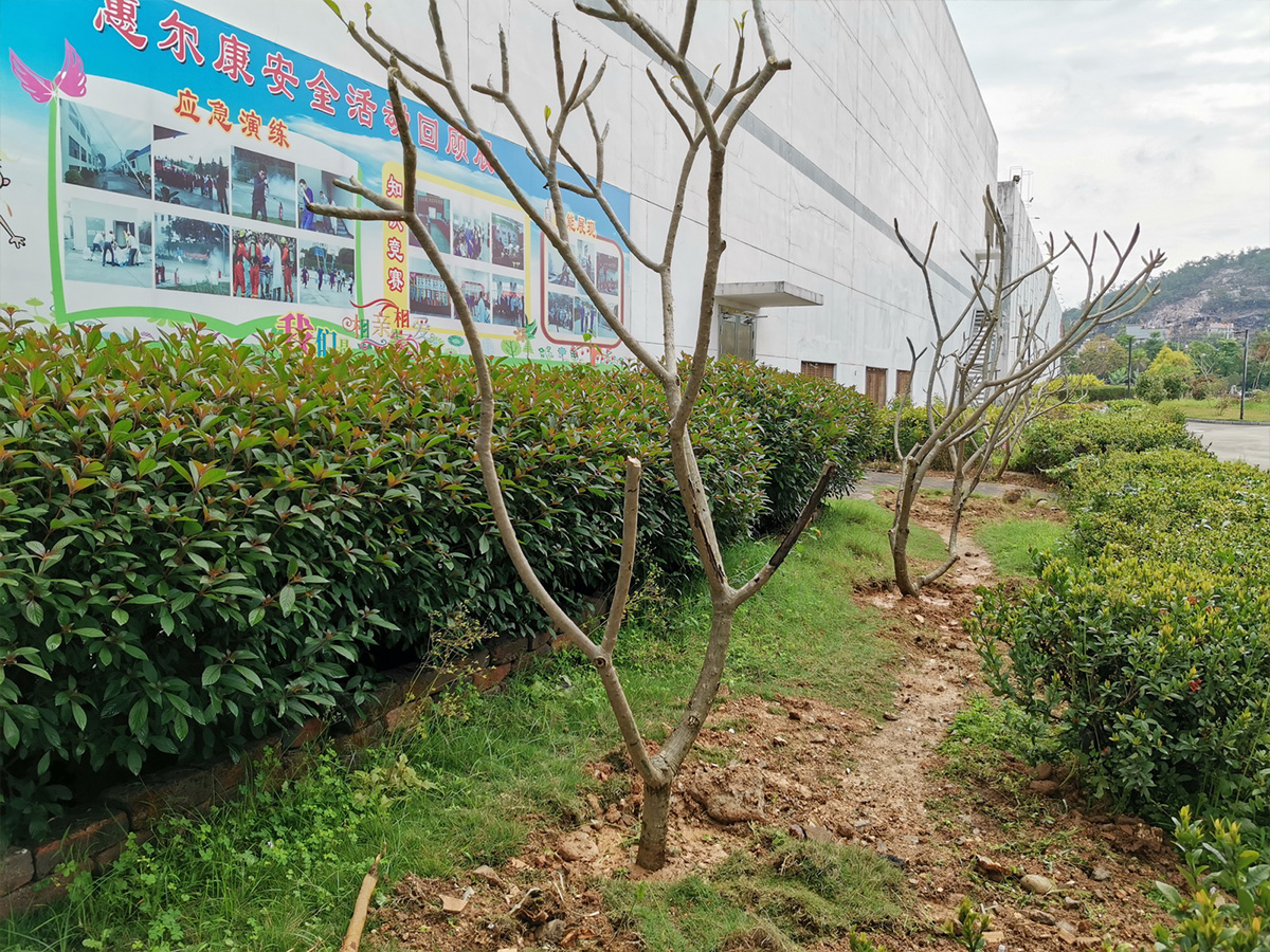 1655972976379863.jpg a5.jpg